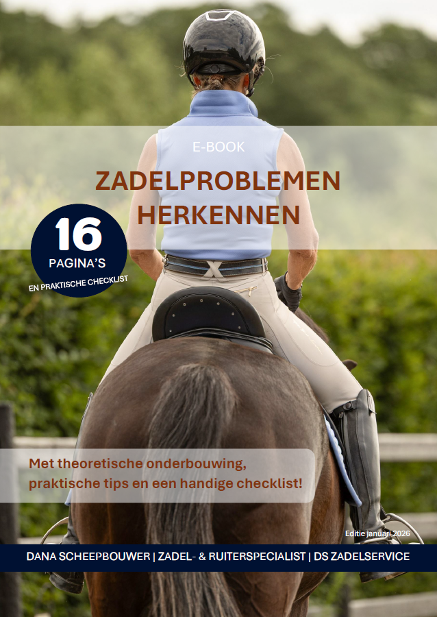 E-book Zadelproblemen herkennen